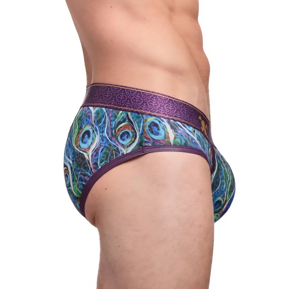 Skull & Bones Peacock Briefs NWT - Picture 3 of 4